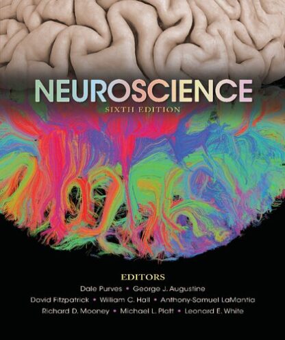 Neuroscience 6th Edition (PDF Instant Download)