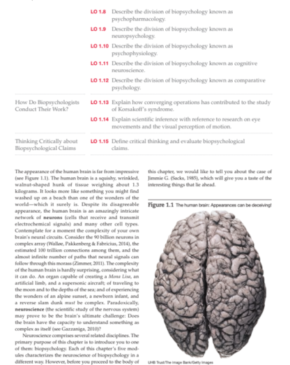 Biopsychology, Global Edition 11th Edition (PDF Instant Download) - Image 4