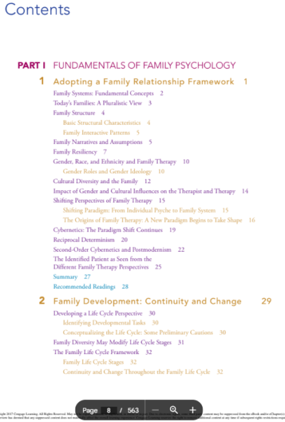 Family Therapy: An Overview 9th Edition (PDF Instant Download) - Image 2